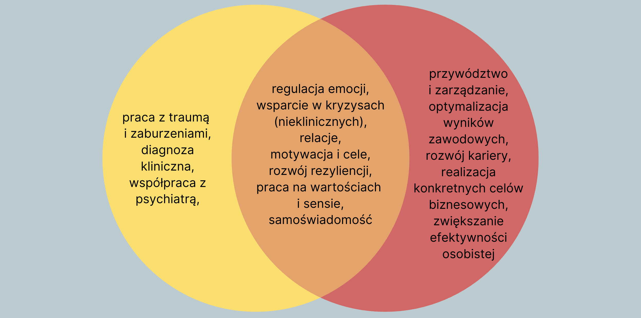 obszary pracy w psychoterapii i coachingu