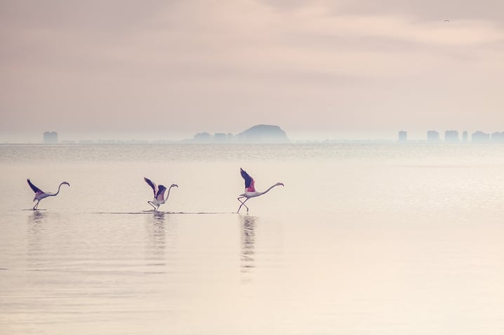 waterscape-5541692_1280